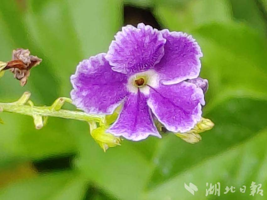 新莆京官网